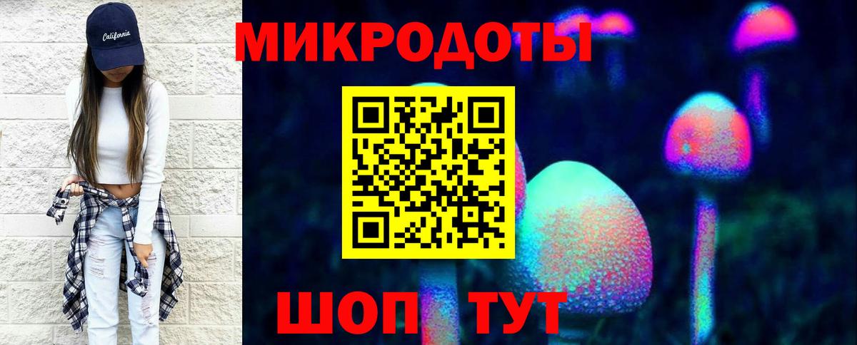 Псилоцибиновые грибы Psilocybine cubensis Жигулёвск